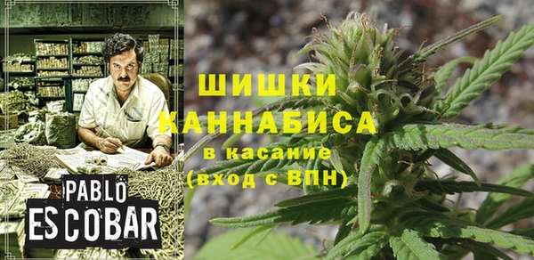 spice Верхний Тагил
