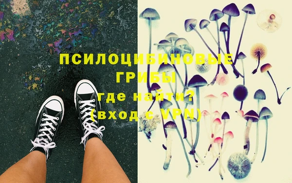 spice Верхний Тагил