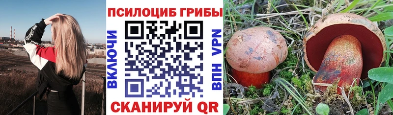 Псилоцибиновые грибы Psilocybine cubensis  площадка официальный сайт  Шахунья 